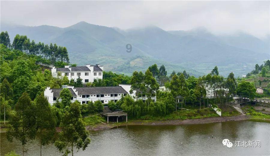 宿舍关系很不好，我该怎么办？游戏画面