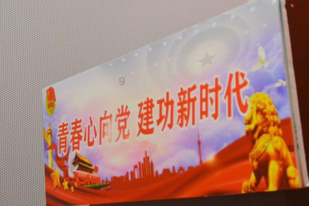 小猫钓鱼正版下载中文版
